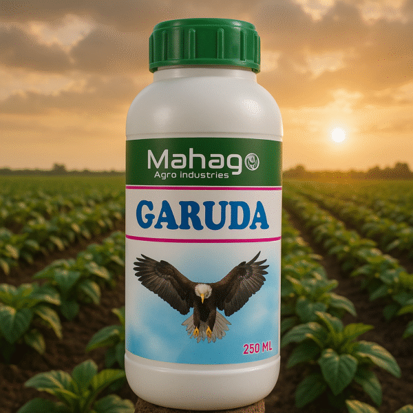 Gaurda