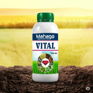 Vital