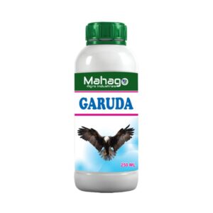Gaurda